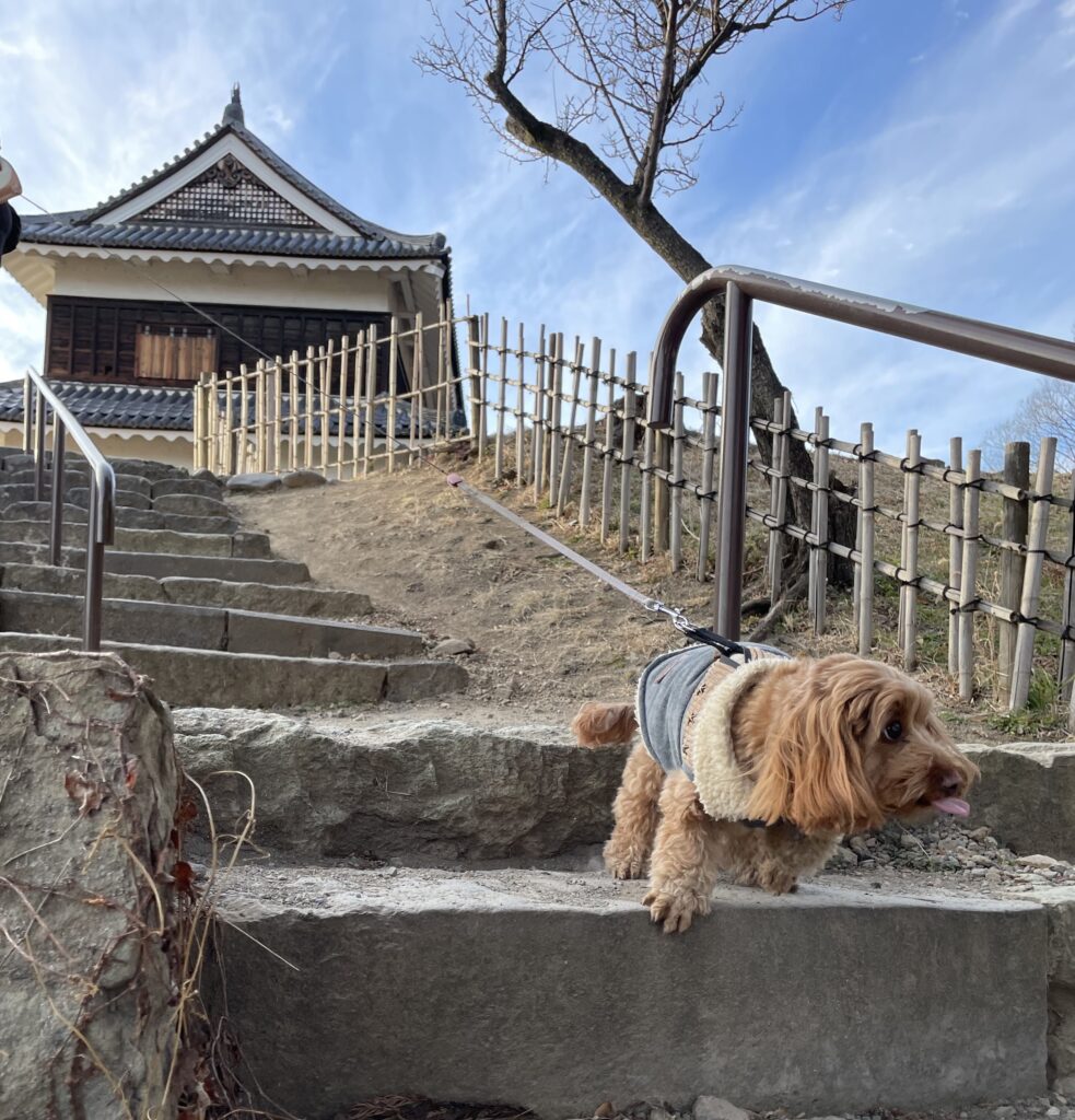 shrine