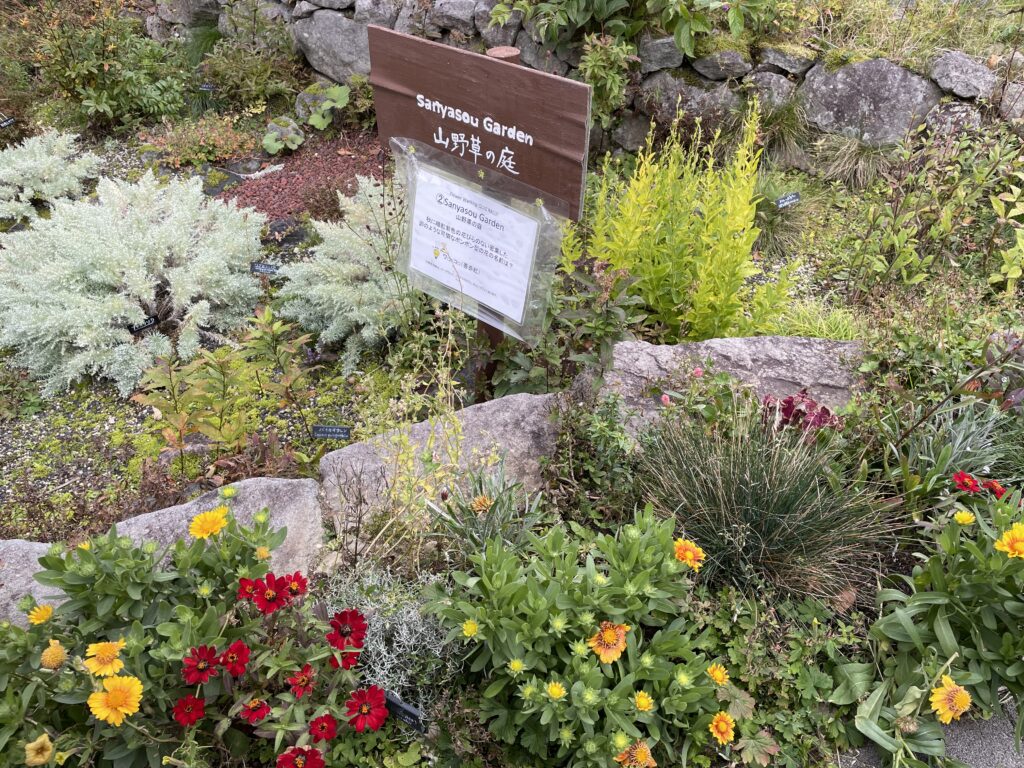 Herb garden